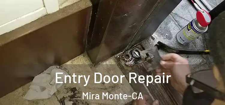 Entry Door Repair Mira Monte-CA