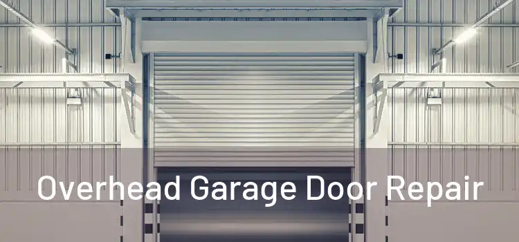  Overhead Garage Door Repair 